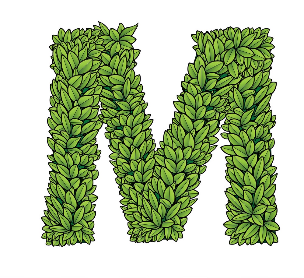 Mix - Smaller hall but also suitable for larger parties when utilising the outdoor space